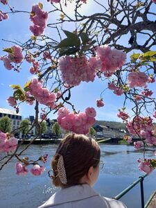 Aurore L