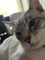 Carly S...