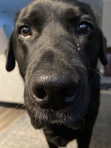 Peggy