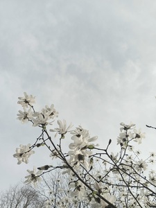 Wind_y.m