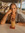 Alisha