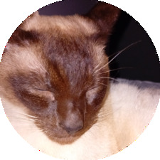 ❤︎ᩙ Rosah Grace ༻♱༺