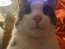 Someone  Really  Cool