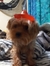 Nelly