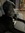 laura honis