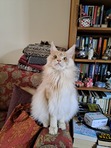 Martha