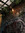 amber~linda | 12 comments