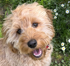 Julina Schuffenhauer