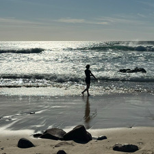 Markéta Košetická