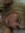 leonor ˚୨୧⋆。˚ ⋆ | 8 comments