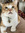 pip