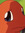 member photo member photo