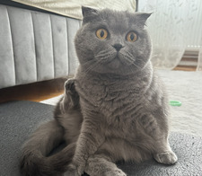 alexandra