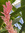 member photo member photo