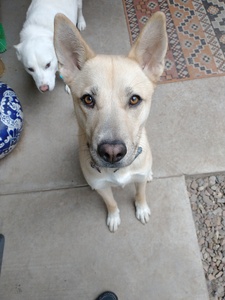 Charlie  B.  Barkin