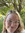 Megan (megsyie) | 3 comments