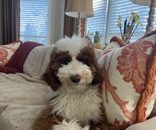 Michelle Bartholomew