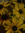 zosia | 1 comments