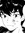 rei.