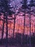 Dawn