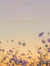 skyline...