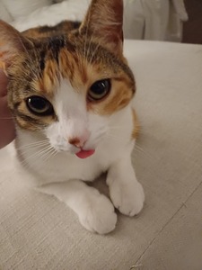 Aceandnerd