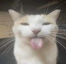 lio
