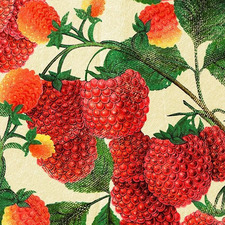 K Y L I E D O H E R T Y