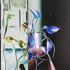 Pluvieux 