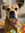 member photo member photo