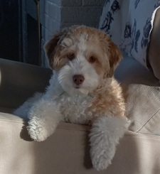 Alita Stackwick-Dueringer