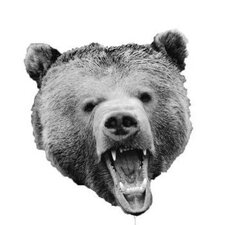 TheShortBear