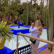 Hollie F &#x1f33c;&#x1f33b;&#x1f337;