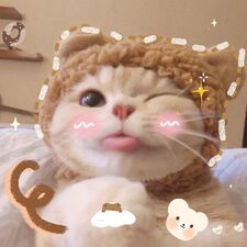 nyans ദ്ദി（• ˕ •マ.ᐟ