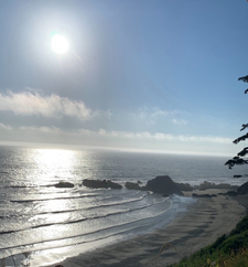 ˚₊‧ʚ alex ɞ‎‧₊˚