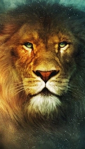 Γιώργος Παπαναστασίου