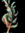 Anika | 2 comments