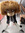 Aristo Kitty