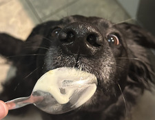 Michaela Lynn Chambers