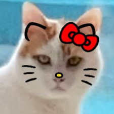 ˚ ༘♡ yUmayLa⋆｡˚ ꕥ