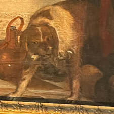 Amelia