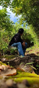 Prasad, ప్రసాద్ 