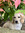 member photo member photo