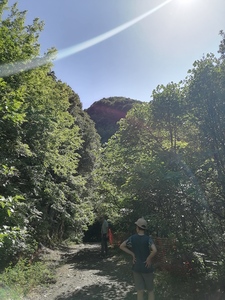 ΛΕΣΧΗ  ΑΝΑΓΝΩΣΗΣ ΤΟΥ ΓΥΜΝΑΣΙΟΥ ΚΟΠΑΝΟΥ