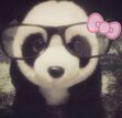 Jayvyn