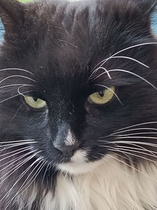 Artem