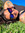 shayna