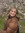 Olivia Gordin