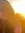 Shoval Dadon | 11 comments