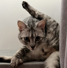 Alan